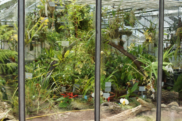 Botanischer Garten 4 P Stadtkultur Darmstadtp Stadtkultur Darmstadt