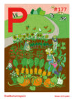 Ausgabe 177 (Oktober 2025)