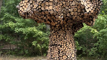 13. Internationaler Waldkunstpfad