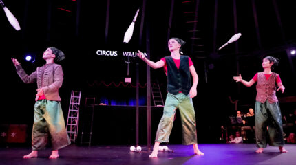 Circus Waldoni: „Hammer Geschichten“