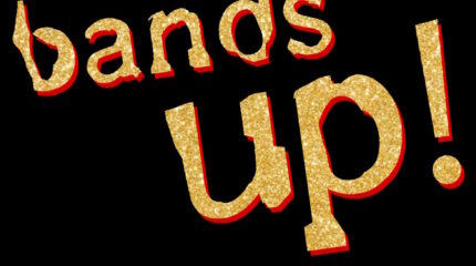 20 Jahre Bandsupporter