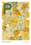 Aktuelles Cover